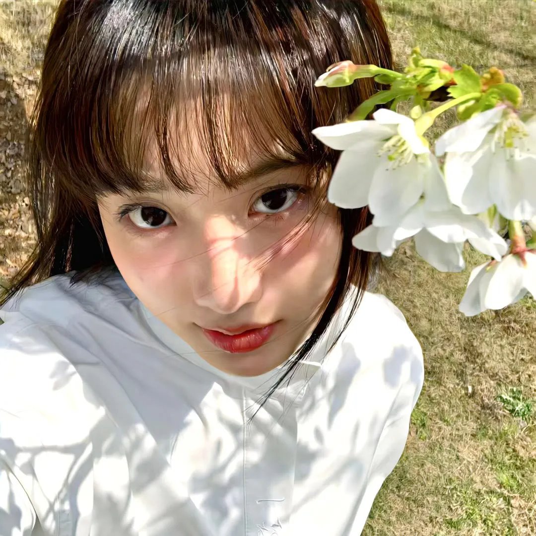最喜欢的花